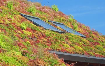 Peatonstrand living roof systems
